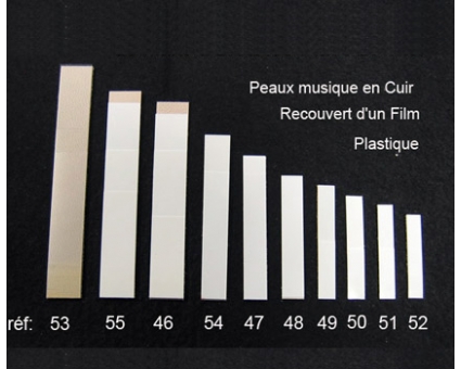 A48 - Peau musique cuir (46,8 x 8 mm)