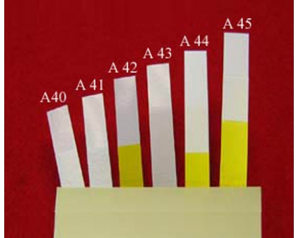 A43 - Peau musique plastique (35 x 6 mm) A43 - Peau musique plastique (35 x 6 mm)